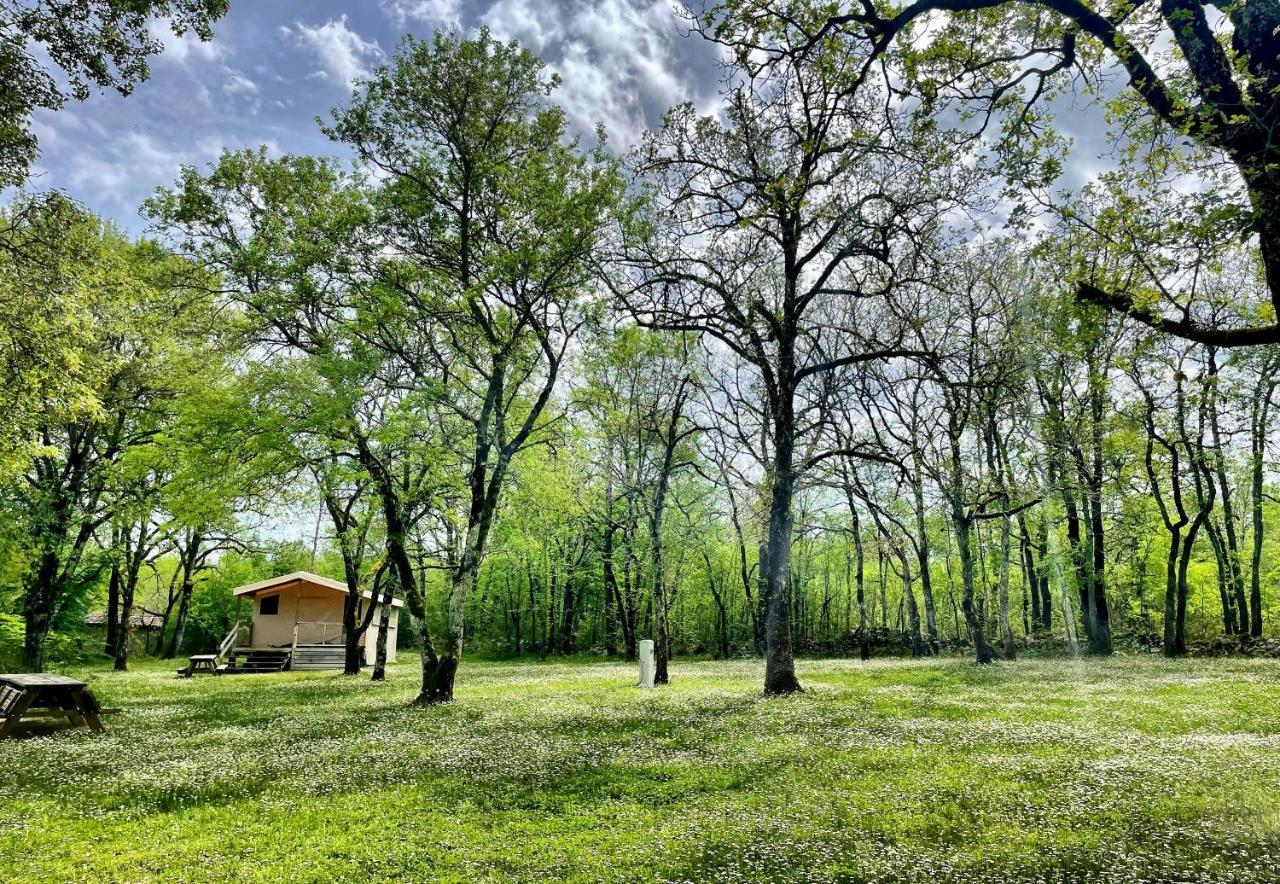 Lodges Du Bois Dodo - Ancien Camping De Bois Redon Septfonds Bagian luar foto